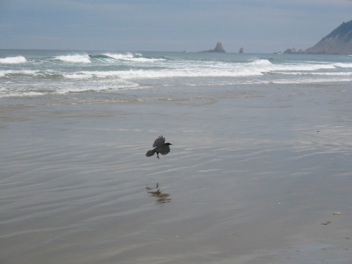 Click for original image